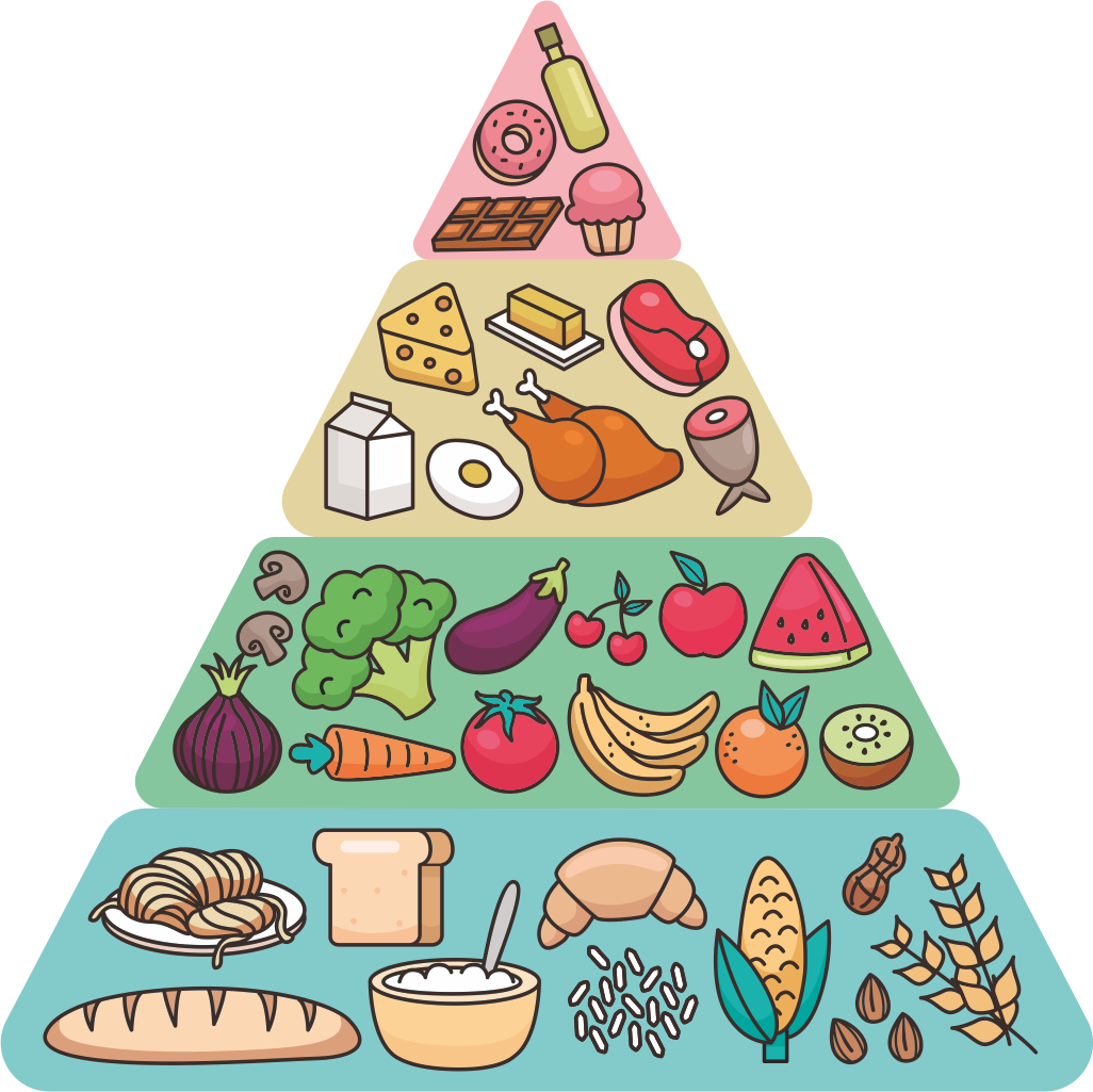 Piramide Alimentare Png
