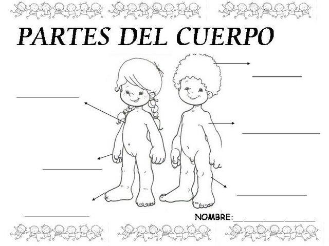 nombres de partes del cuerpo humano para niños