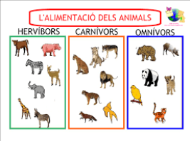 herbívoros carnívoros y omnívoros