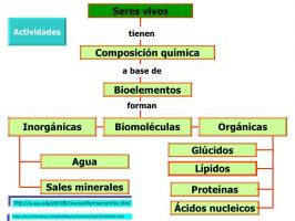 Juegos De Ciencias | Juego De Bioelementos Y Biomoléculas - 1ª Parte ...