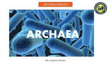 organismos del reino archaea